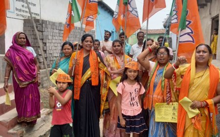 भाजपा लैलूंगा विधानसभा क्षेत्र के ग्राम गोढी में किया घर-घर संपर्क अभियान