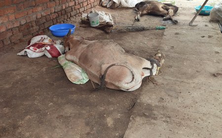 जिला प्रशासन को किसके मौत का इंतजार.....