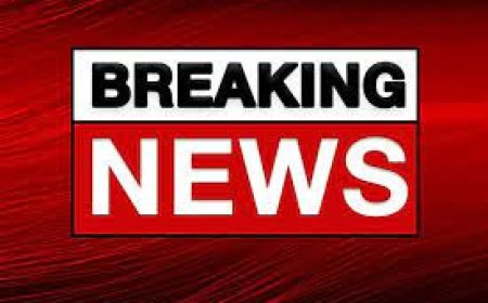 आईटी का छापा, कारोबारियों और राइस मिलर्स में मचा हड़कंप