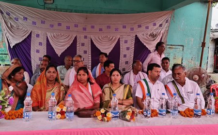 बसपा के गढ़ में कांग्रेस ने लगाई सेंध कांग्रेस मय हुआ अचानकपाली