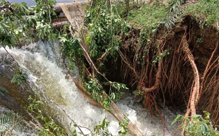 नदी नाले उफान पर मुडा तालाब फूटा वार्ड वासी परेशान