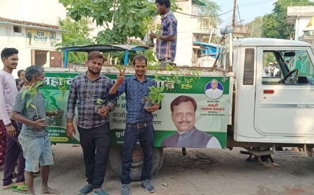 रामदास द्रौपदी फाउंडेशन द्वारा रायगढ़ नगर के कई मोहल्लों में पौध वितरण