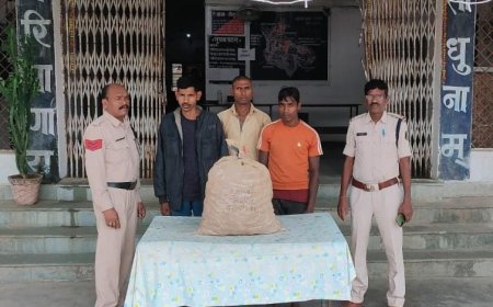 किसान की मेहनत पर पानी फेरने वाले तीन युवकों पर लैलूंगा पुलिस ने की सख्त कार्रवाई…..