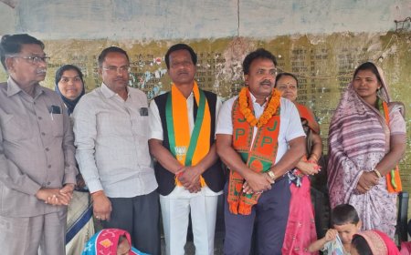 भाजपा सांसद प्रत्याशी राधेश्याम राठिया को मिल रहा जनता का अपार समर्थन