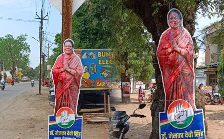 सार्वजनिक संपत्ति विरूपण अधिनियम का उल्लंघन