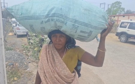 जिला प्रशासन के घर आजा संगी का हुआ असर : मतदान के दिन लौटे मतदाता