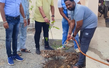 ना.आ. निगम जिला कार्यालय में सघन वृक्षारोपण