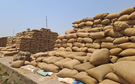 फड़ से अभी तक धान का उठाव नहीं फड़ प्रभारी परेशान