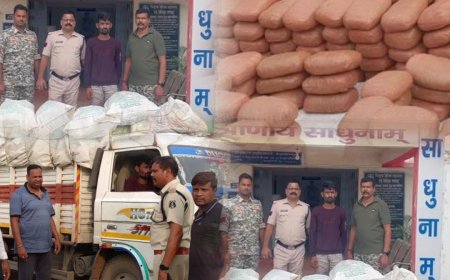 सरिया पुलिस की बड़ी कार्यवाही 250 Kg गांजा के साथ 01 आरोपी गिरफ्तार 