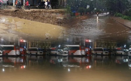 कलेक्टर के आदेश की अवमानना शहर हुआ तरबतर