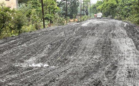 ऐश्वर्यम अपार्टमेंट रोड की खराब स्थिति : एक चिंताजनक मुद्दा