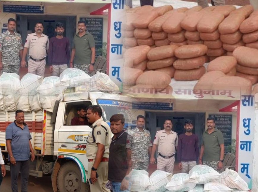 सरिया पुलिस की बड़ी कार्यवाही 250 Kg गांजा के साथ 01 आरोपी गिरफ्तार 