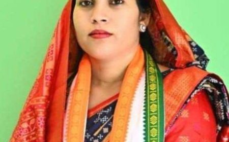 अवैध रेत उत्खनन को लेकर सारंगढ़ विधायक उत्तरी जांगड़े ने जिला कलेक्टर को लिखा पत्र कार्यवाही मांग की