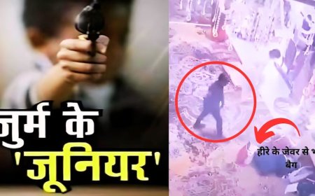 14 साल का ज्वेल थीफ, बच्चे ने फाइव स्टार होटल में की डेढ़ करोड़ के हीरों की चोरी, सीसीटीवी Video देखकर हैरान रह जाएंगे आप..!  