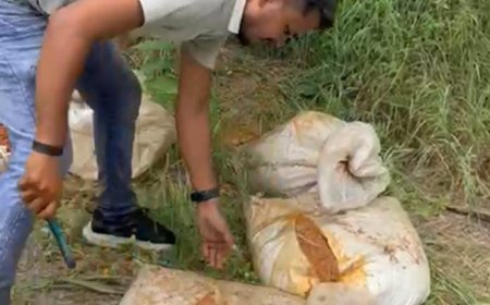 आबकारी टीम सारंगढ़ ने 235 लीटर कच्ची महुआ शराब और 4800 किलो लाहन जप्त किया