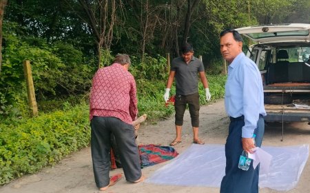 दर्दनाक सड़क हादसा: काम की तलाश में सीपत पहुंचे युवक को अज्ञात वाहन ने रौंदा मौके पर हुई मौत