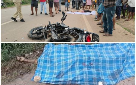 ट्रक और ट्रेलर की चपेट में आने से महिला और पुरुष की मौत