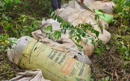 आबकारी टीम बरमकेला ने 45 लीटर महुआ शराब और 1350 किलो लाहन जप्त किया