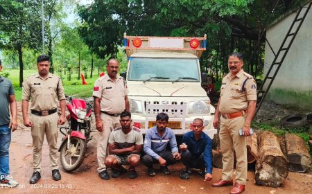 पिकप ड्रायवर से पिकप एवं मोबाईल नगदी रकम लूटने वाले आरोपियों पर बिलासपुर पुलिस का प्रहार