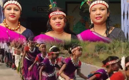 सारंगढ़ बिलाईगढ़ जिले में खिचरी गाँव के ग्रामीणों ने मनाया राज्योत्सव