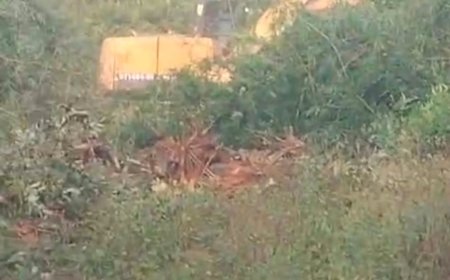 रोपे गए बांस प्लांटेशन को चैन जेसीबी मशीन से उखाड़ देने का सनसनीखेज मामला प्रकाश में आया