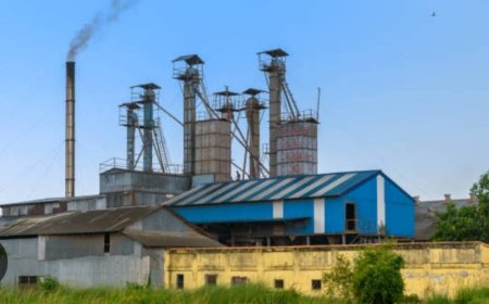 छग कृषि प्रधान प्रदेश व धान का कटोरा हालात मिलर्स की पतली