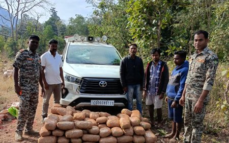 घेराबंदी कर पकड़ा गया इन्नोवा क्रिस्टा सहित 151 किग्रा गांजा