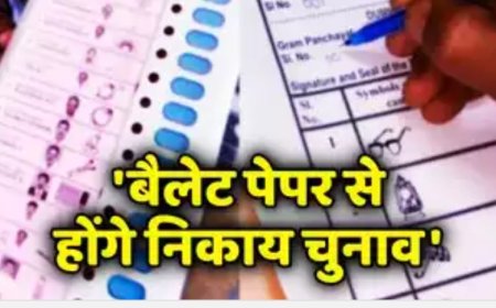 बैलेट पेपर से होंगे छत्तीसगढ़ में नगरीय निकाय और पंचायत चुनाव, सरकार का बड़ा फैसला