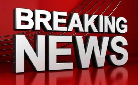 अमलीभौना में जमीन फर्जीवाड़े का मास्टर माइंड कौन...?