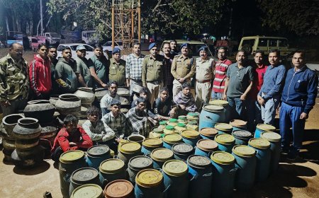 अवैध महुआ शराब पर बिलासपुर पुलिस का प्रहार