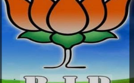 रायगढ़ जिला पंचायत अध्यक्ष कौन....?