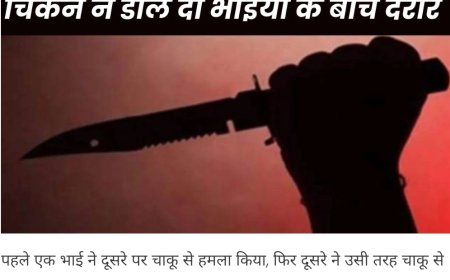 प्रॉपर्टी नहीं सिर्फ चिकन का बंटवारा करना था... इसी में दो भाईयों के बीच चल गए चाकू