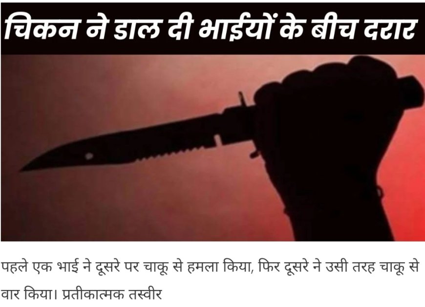 प्रॉपर्टी नहीं सिर्फ चिकन का बंटवारा करना था... इसी में दो भाईयों के बीच चल गए चाकू