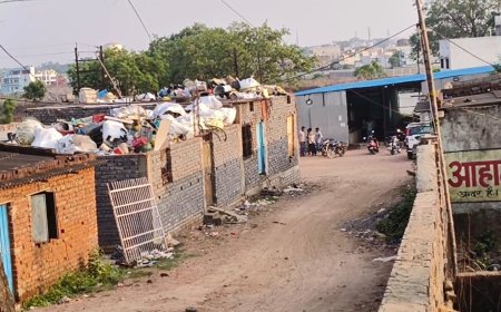 शासकीय जमीनों पर अवैध कब्जे जारी, राजस्व विभाग नींद में