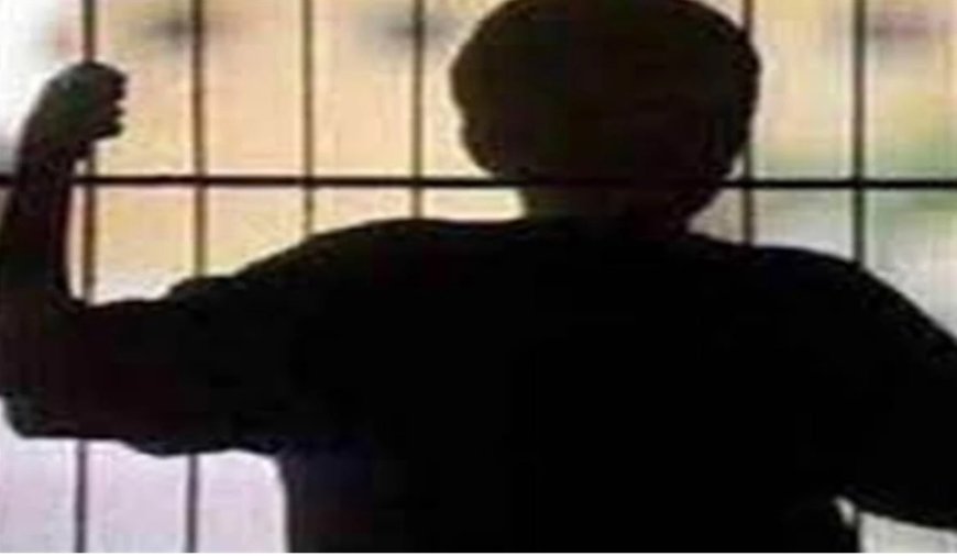 सुरक्षा गार्ड की आंखों में मिर्ची पाउडर फेंककर संप्रेक्षण गृह से छह अपचारी बालक फरार