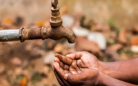 छत्तीसगढ़ के 81.08 फीसदी घरों में नल लगे, लेकिन पानी गायब… देखें जल जीवन मिशन की हकीकत