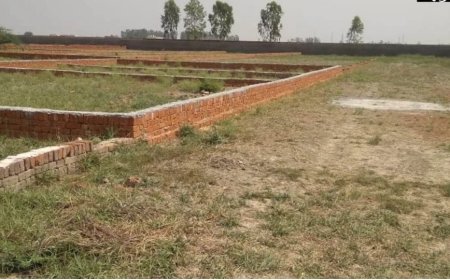 धोखाधड़ी की हदें पार, 14 एकड़ सरकारी जमीन की 'चोरी', 4 लोगों के नाम पर चढ़ाई