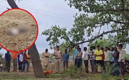 लापता नाबालिग लड़की का मिला शव, चाकू से गोदकर की हत्या