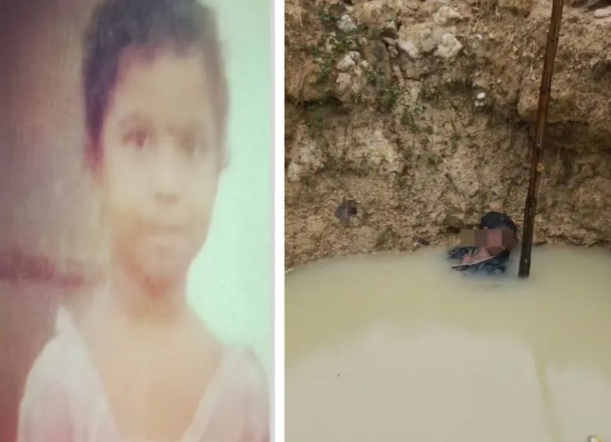  नपं अध्यक्ष की बाड़ी के डबरी में मिली 6 वर्षीय बालिका की लाश, जिंदा होने की आस में नानी भी कूदी