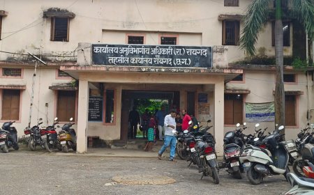 इस पटवारी की जिस हल्का में हुई पोस्टिंग उस हल्का का हो गया बेड़ा गर्त