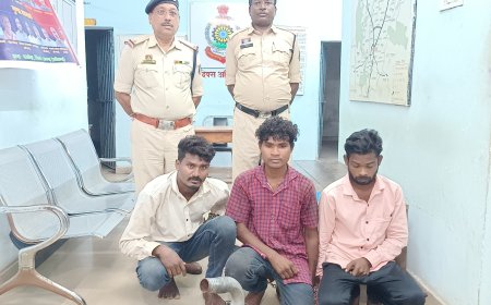 घरघोड़ा पुलिस की बड़ी कार्रवाई, तीन चोर गिरफ्तार – 50 हजार का माल बरामद, संगठित अपराध की धाराओं में भेजे गए रिमांड पर