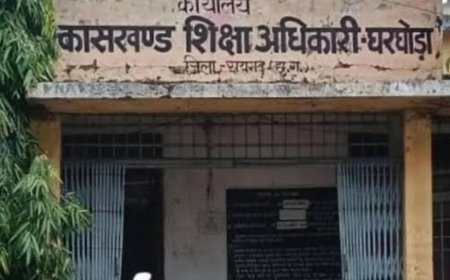 पीएफएमएस घोटाले पर घरघोड़ा बीइओ सख्त, स्कूलों में क्रय समानों की भौतिक सत्यापन का आदेश