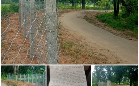 शासकीय भूमि पर बाहरी किसान ने किया अवैध कब्जा ग्रामीणों ने की तहसीलदार से कार्यवाही की मांग