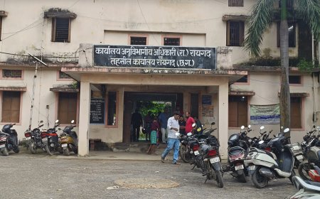 पटवारी अनिल पर कब होगी कार्यवाही...?