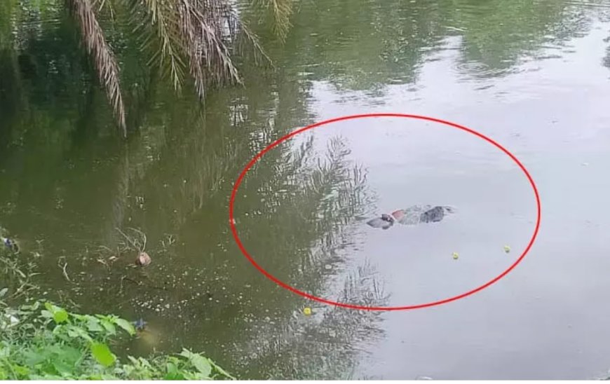 शौच गई महिला की लाश तालाब में मिली, गांव में सनसनी