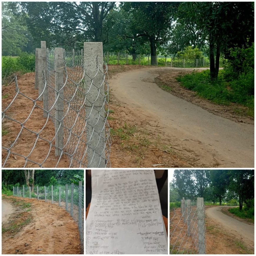 शासकीय भूमि पर बाहरी किसान ने किया अवैध कब्जा ग्रामीणों ने की तहसीलदार से कार्यवाही की मांग