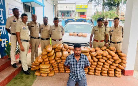 गांजा तस्करी पर रायगढ़ पुलिस की बड़ी कार्रवाई, हुंडई कार से ढाई क्विंटल गांजा बरामद, एक आरोपी गिरफ्तार