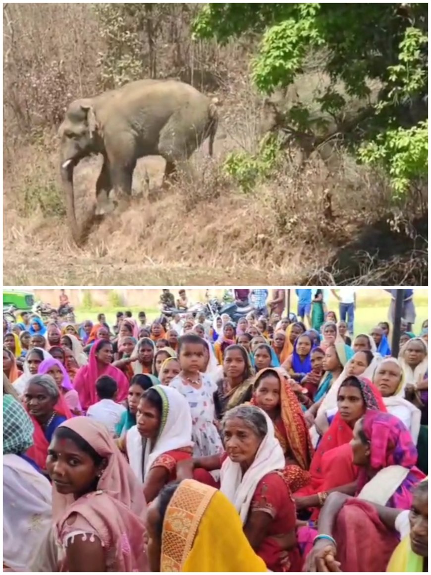 अडानी कंपनी की प्रस्तावित पुरंगा कोयला खदान का ग्रामीणों ने किया विरोध