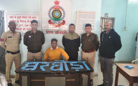 घरघोड़ा पुलिस की नशीली दवाओं के अवैध कारोबार पर बड़ी कार्यवाही, 1008 प्रतिबंधित नशीली कैप्सूल के साथ सप्लायर गिरफ्तार