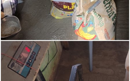 सोनिया नगर राशन दुकान से होता है चावल घोटाला 